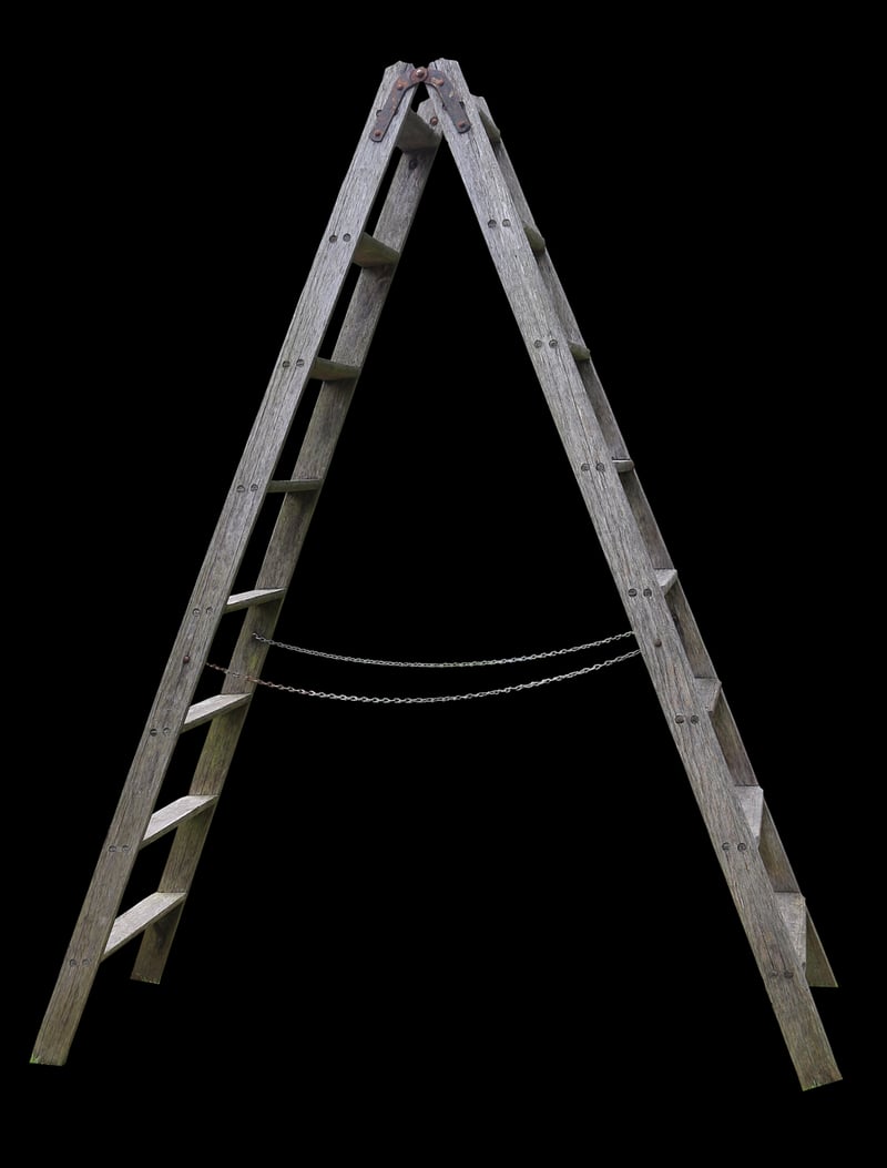 Repurposed Ladder Shelf